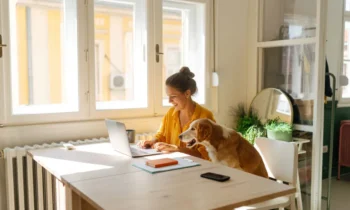 Top companies offering reliable remote job opportunities in 2025